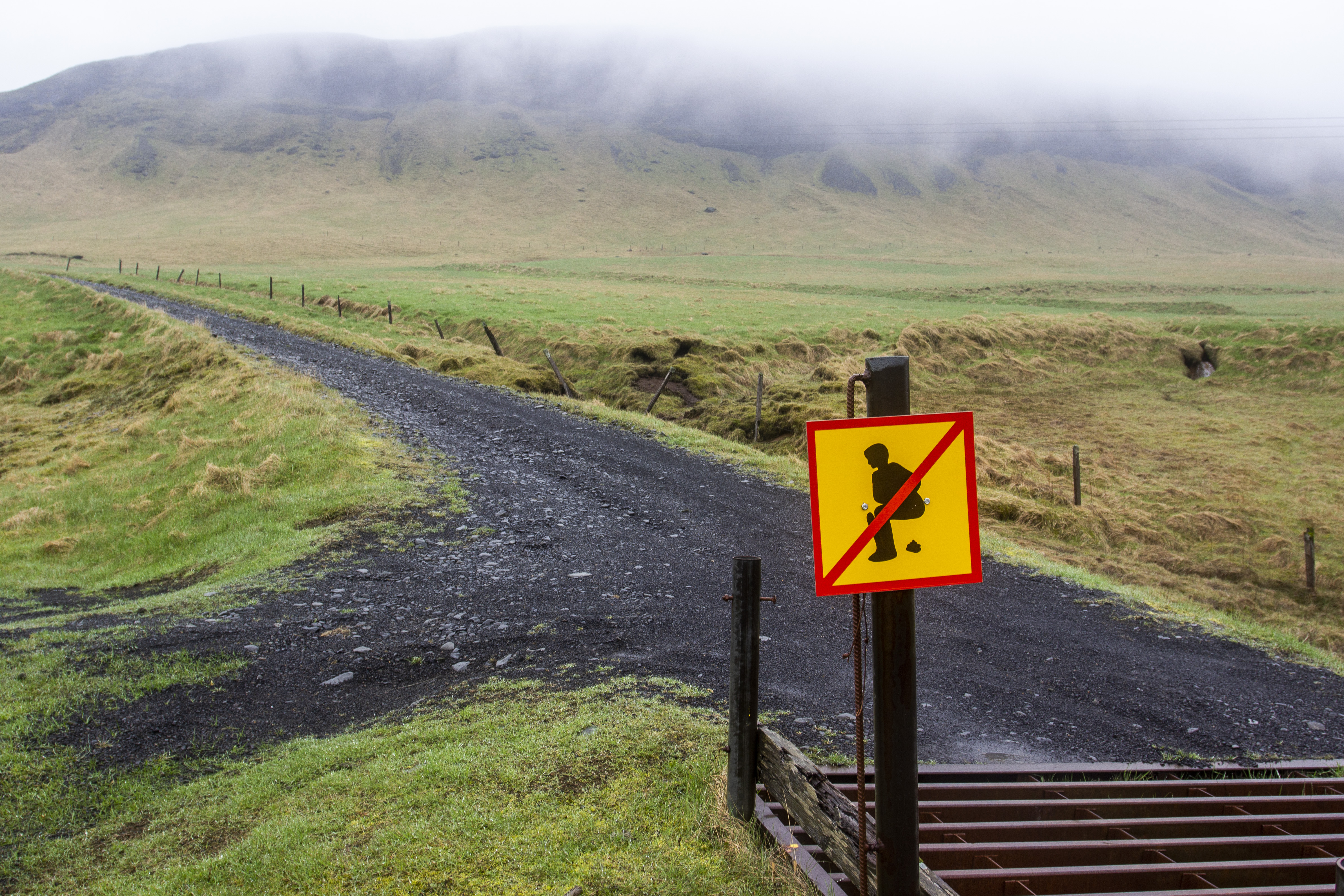 Čo mi islandskými cestičkami cvrnklo do nosu